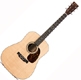 Martin 16 serie D16GT