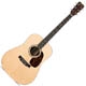 Martin 16 serie D-16rgt