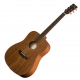 BreedLove  S�rie Passport Dreadnought