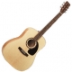Norman  b20 natural satin