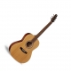 Seagull coastline Cedar Folk natural