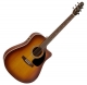 Seagull entourage CW Quantum I rustic burst