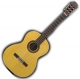 Takamine G series G124