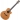 Takamine Supernatural TAN650C