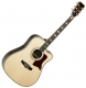 Tanglewood Heritage TW1000HSRCE natural gloss