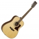 Tanglewood Premier TW115ST natural satin