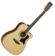 Tanglewood Premier TW115CE natural satin