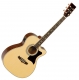 Tanglewood Premier TW170ASCE natural gloss