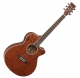 Tanglewood Evolution TWTSFCEXB natural satin