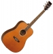 Tanglewood Evolution 28CSN Gaucher