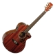 Tanglewood Sundance 47B