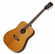 Tanglewood Evolution TW28CLN LH Gaucher natural satin
