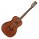 Tanglewood Premier TW133