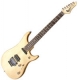 Vigier Excalibur Bumblefoot signature rosewood+�tui rigide natural