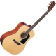 Washburn D10 S natural