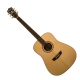 Washburn Heritage WD10SLH Gaucher natural