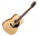 Simon & Patrick Woodland Spruce 12 EQ A3.2