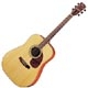 Cort Earth 200 natural