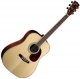 Cort Earth 700 natural