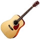Cort Earth 70 NS