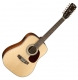 Cort Earth 70  12ENS 12 cordes