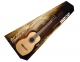 Cort  Pack AC 10
