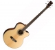 Cort  SJB 6FXFL Fretless
