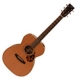 Furch Vintage Bluegrass OM-33-SR natural