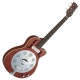 Dean Guitars Folk series Resonator Cutaway Electric