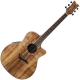 Dean Guitars Exotica series Koa natural gloss