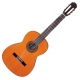 Aria  AC25