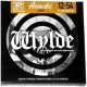 Dunlop Zakk Wylde Acoustic Light 12-54 