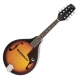 Epiphone  MM 20 antique sunburst