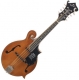 Epiphone  MM-50E Professional