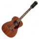 Fender  Tim Armstrong Hellcat 12 cordes