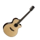 Parkwood Acoustiques PW-570NAT