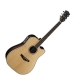 Parkwood Acoustiques PW-560NAT