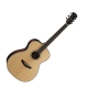 Parkwood Acoustiques PW-520NAT