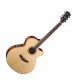 Parkwood Acoustiques PW-370MOP