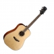 Parkwood Acoustiques PW-310MOP