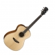 Parkwood Acoustiques PW-320MOP