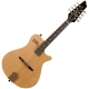 Godin a-series A8 Mandoline natural satin
