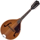 Gretsch Roots Collection G9310 New Yorker Supreme Mandolin mahogany