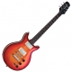 Hamer Sunburst Archtop Flametop cherry sunburst