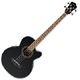Ibanez AEB 8E black