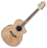 Euroguitar  Ibanez EW 20ASE natural
