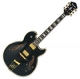 Ibanez Signature PM120-BK Pat Metheny + �tui black
