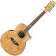 Ibanez EW 2012ASE-NT