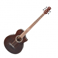 Ibanez - Basse acoustique / électro Ibanez EWB 205WNE-NT walnut - Euroguitar.com (Walnut)