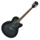 Ibanez AEL 20E-TKS